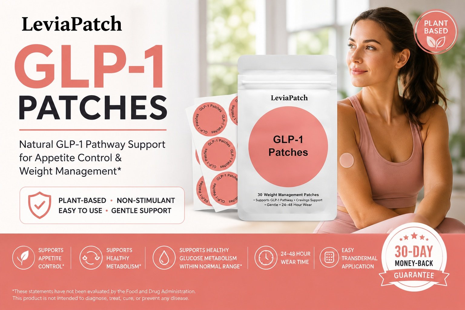 LeviaPatch